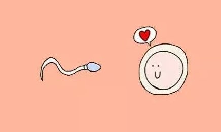 2026宜兴试管助孕机构排行、哪个好