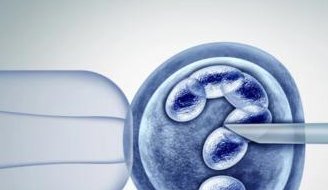 2026做试管婴儿必备条件，这些要求不满足做不成试管