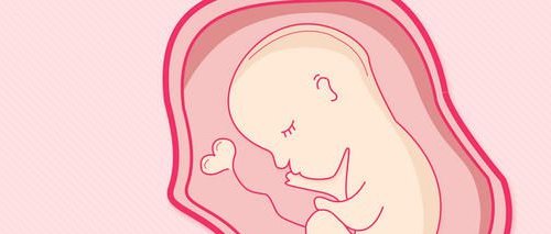 2026嘉兴地区助孕机构权威排行，前十大机构联系方式速查！