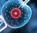 2026临沂私立医院做三代试管需要多少钱？10万够不够？