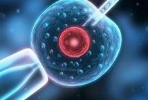 2026三亚口碑比较好的助孕公司名单，6家实力强的机构全在这里