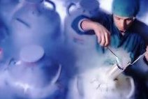 2026三代试管选胚胎费用参考，三代试管选胚胎条件一览