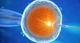 2026南昌试管助孕机构名单火爆出炉，附助孕机构成功率及费用分析