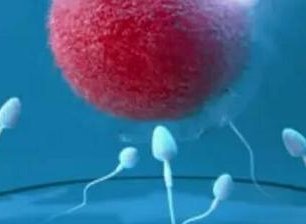 2026南昌三代试管能做孩子的医院排名