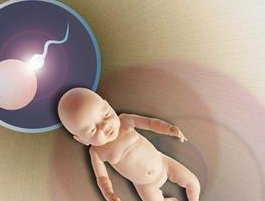 2026天津做三代试管的详细价格曝光，汇总天津试管医院排名